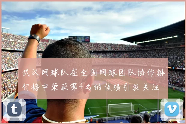 武汉网球队在全国网球团队协作排行榜中荣获第4名的佳绩引发关注