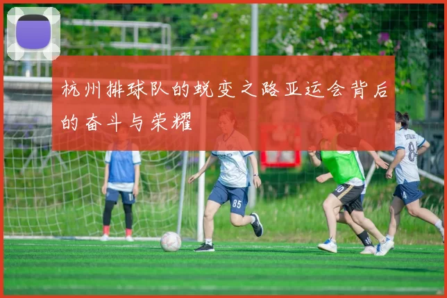 杭州排球队的蜕变之路亚运会背后的奋斗与荣耀