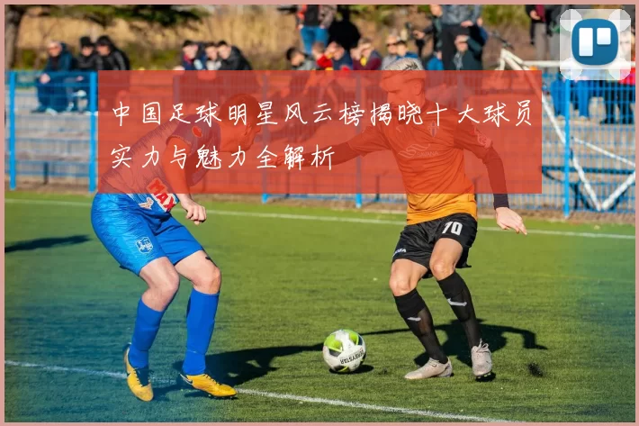 中国足球明星风云榜揭晓十大球员实力与魅力全解析