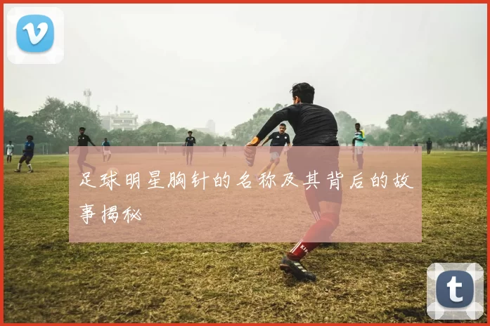 足球明星胸针的名称及其背后的故事揭秘