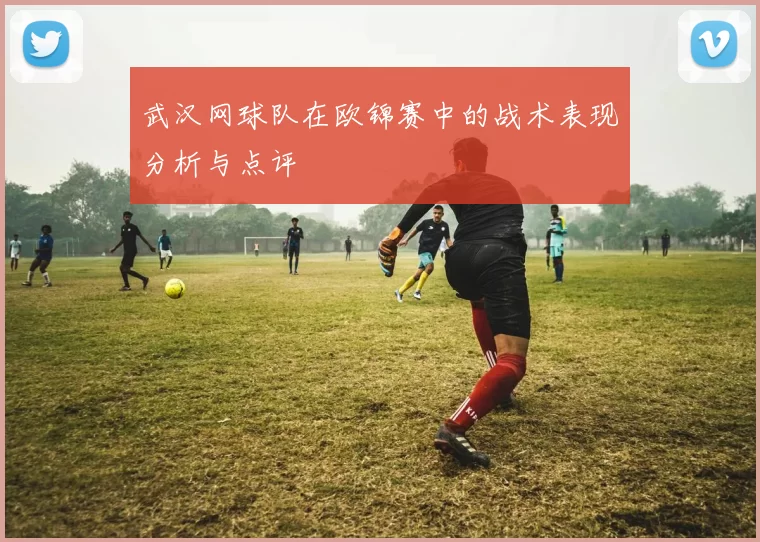 武汉网球队在欧锦赛中的战术表现分析与点评