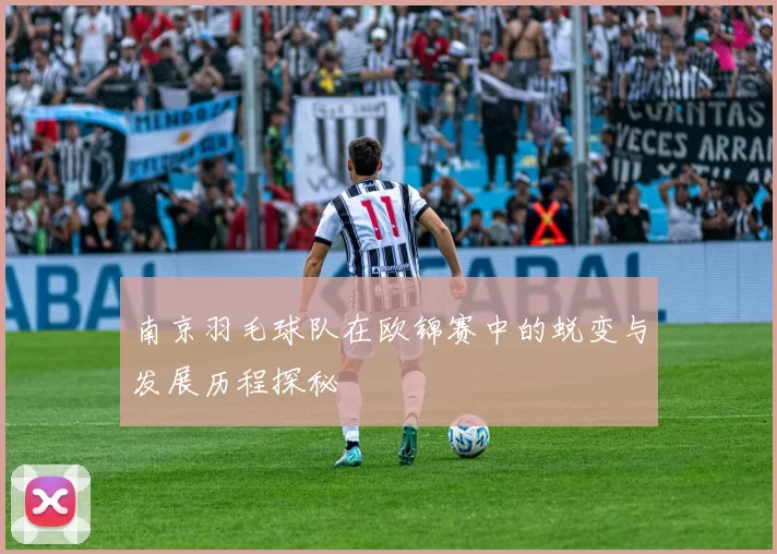 南京羽毛球队在欧锦赛中的蜕变与发展历程探秘