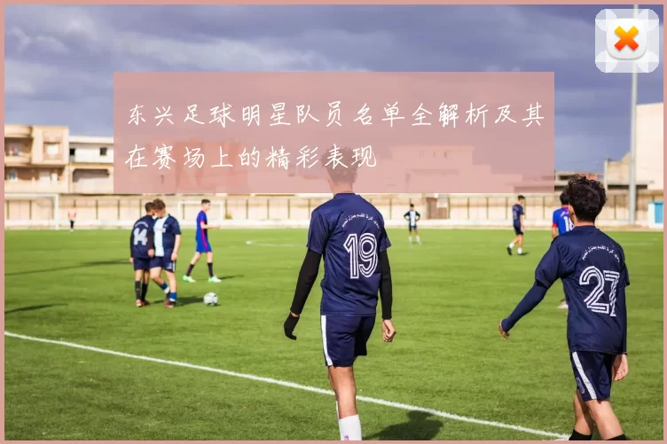 东兴足球明星队员名单全解析及其在赛场上的精彩表现