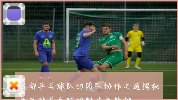 成都乒乓球队的团队协作之道揭秘与巨献乒乓球的魅力与精神