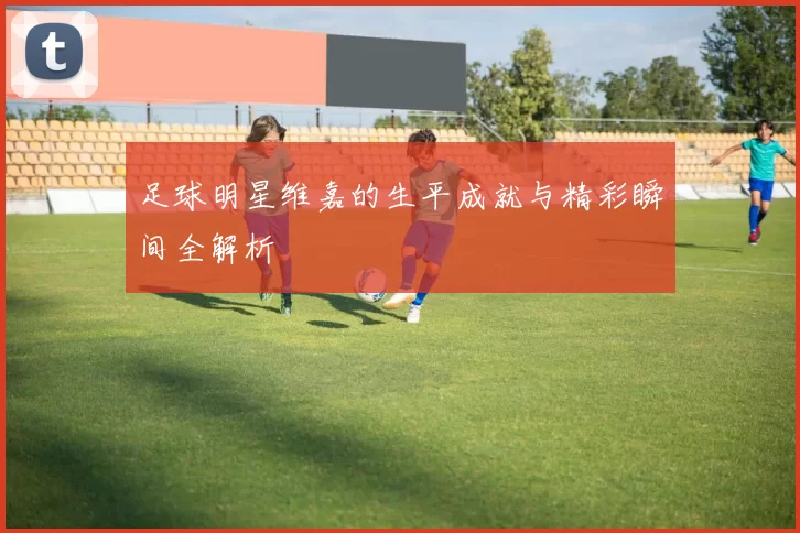 足球明星维嘉的生平成就与精彩瞬间全解析