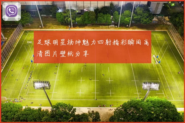 足球明星杨坤魅力四射精彩瞬间高清图片壁纸分享