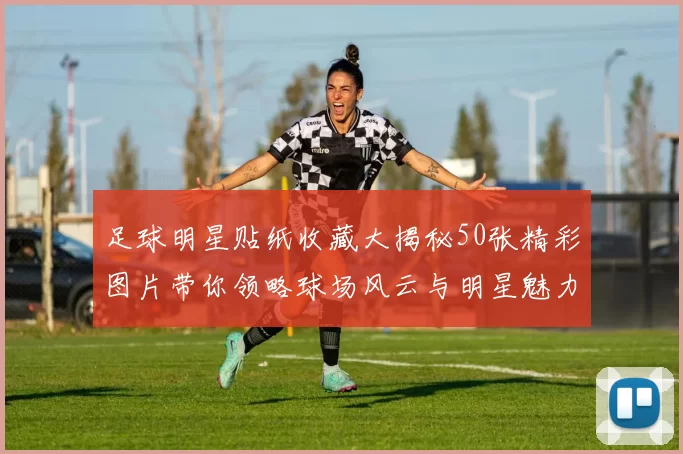 足球明星贴纸收藏大揭秘50张精彩图片带你领略球场风云与明星魅力