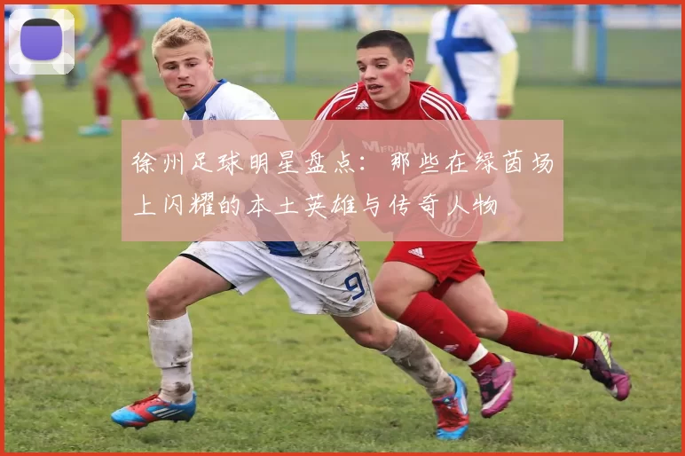 徐州足球明星盘点：那些在绿茵场上闪耀的本土英雄与传奇人物