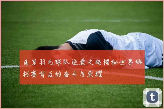 南京羽毛球队逆袭之路揭秘世界锦标赛背后的奋斗与荣耀