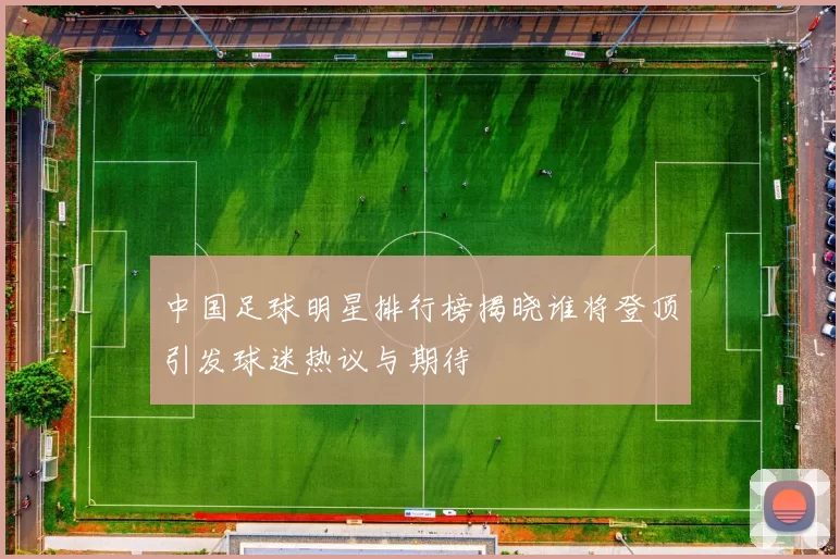 中国足球明星排行榜揭晓谁将登顶引发球迷热议与期待