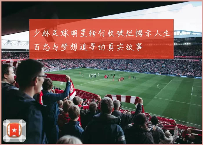 少林足球明星转行收破烂揭示人生百态与梦想追寻的真实故事