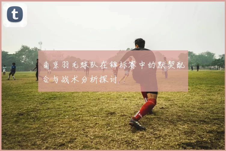 南京羽毛球队在锦标赛中的默契配合与战术分析探讨