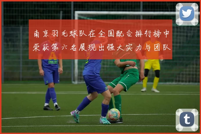南京羽毛球队在全国配合排行榜中荣获第六名展现出强大实力与团队合作精神