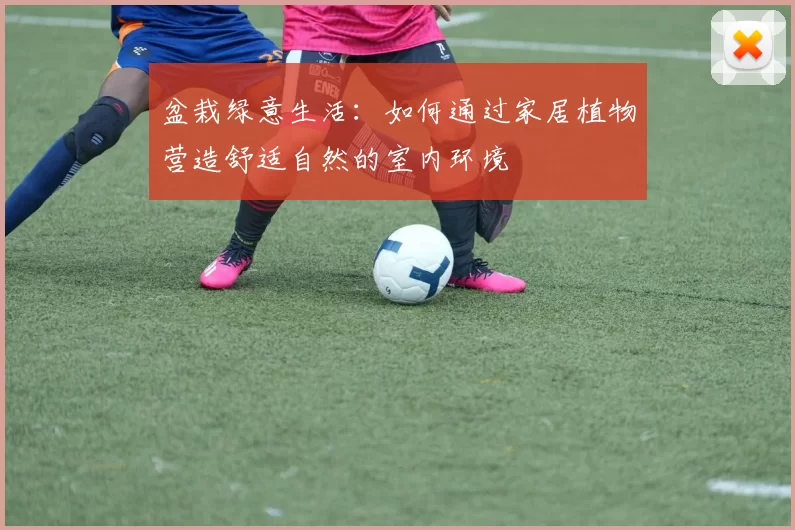 盆栽绿意生活：如何通过家居植物营造舒适自然的室内环境