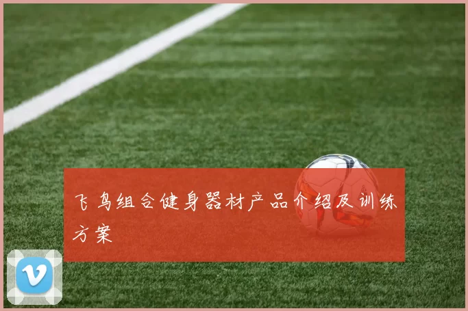 飞鸟组合健身器材产品介绍及训练方案