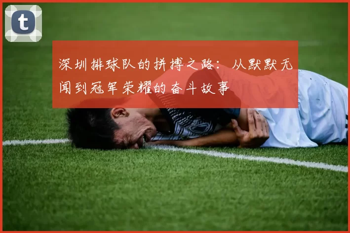 深圳排球队的拼搏之路：从默默无闻到冠军荣耀的奋斗故事