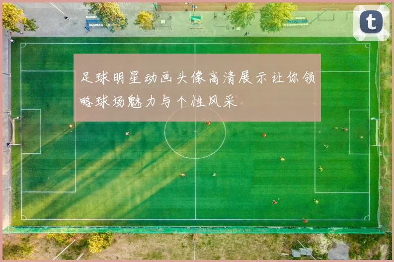 足球明星动画头像高清展示让你领略球场魅力与个性风采