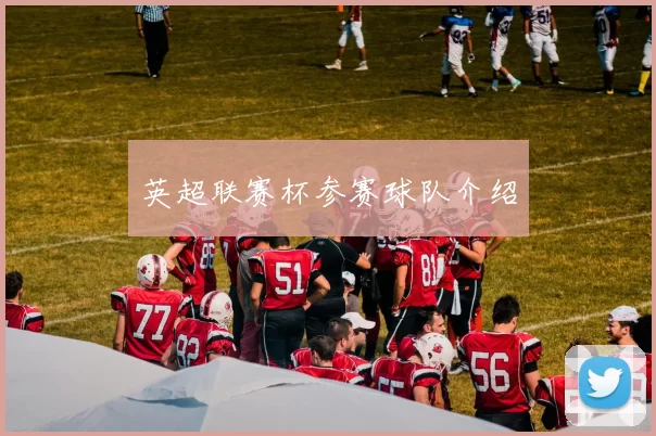 英超联赛杯参赛球队介绍
