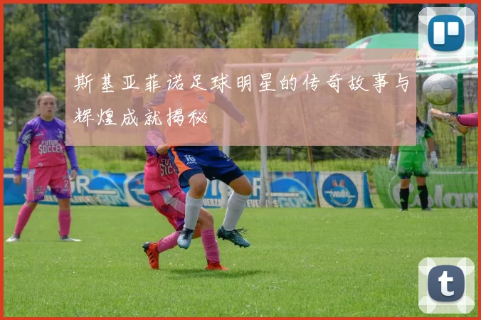 斯基亚菲诺足球明星的传奇故事与辉煌成就揭秘