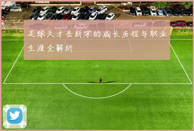 足球天才岳新宇的成长历程与职业生涯全解析