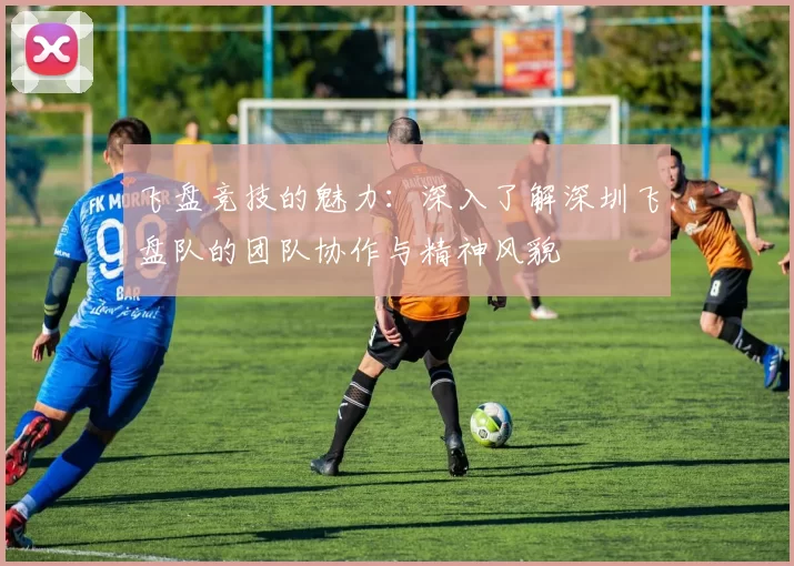 飞盘竞技的魅力：深入了解深圳飞盘队的团队协作与精神风貌