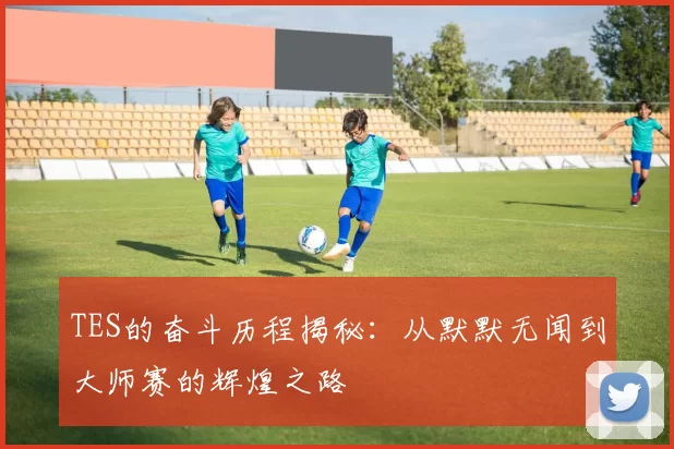 TES的奋斗历程揭秘：从默默无闻到大师赛的辉煌之路