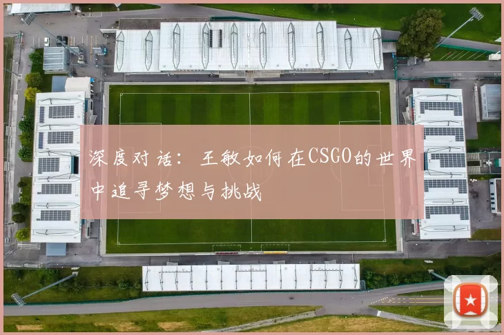 深度对话：王敏如何在CSGO的世界中追寻梦想与挑战