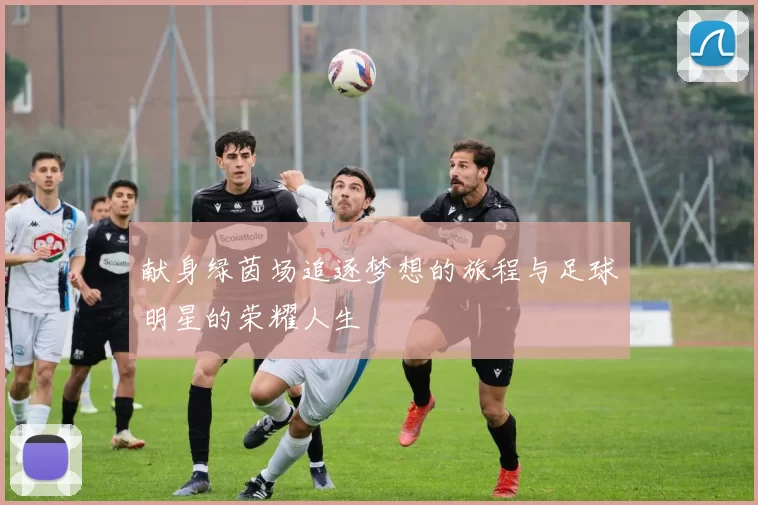 献身绿茵场追逐梦想的旅程与足球明星的荣耀人生