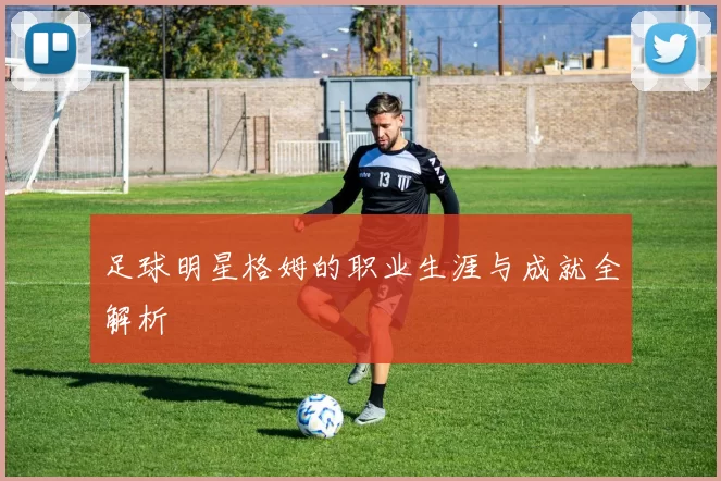 足球明星格姆的职业生涯与成就全解析